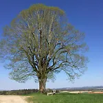 Lejlighed 